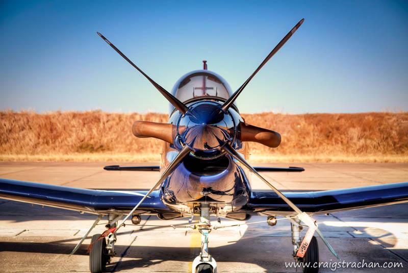 Silver Falcons