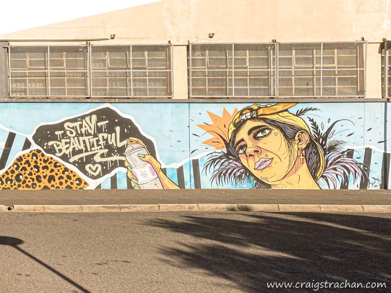 Salt River Steet-art