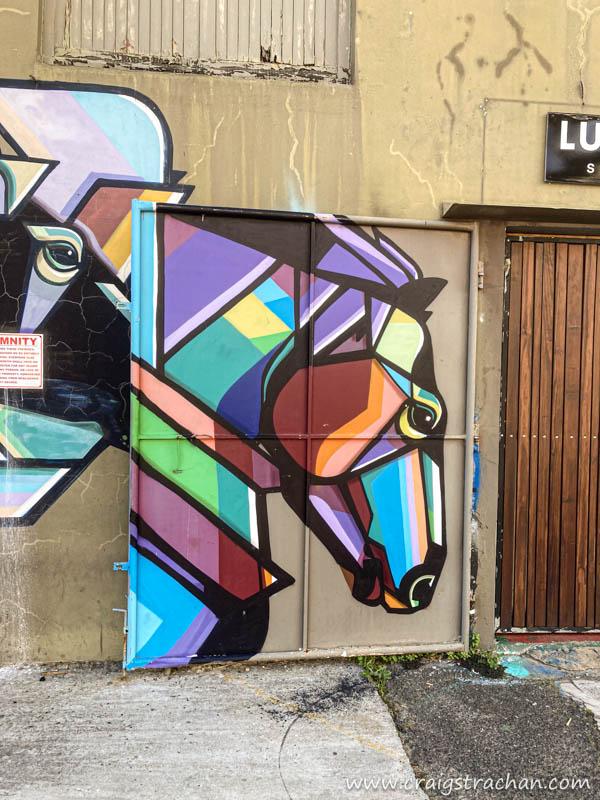 Salt River Steet-art