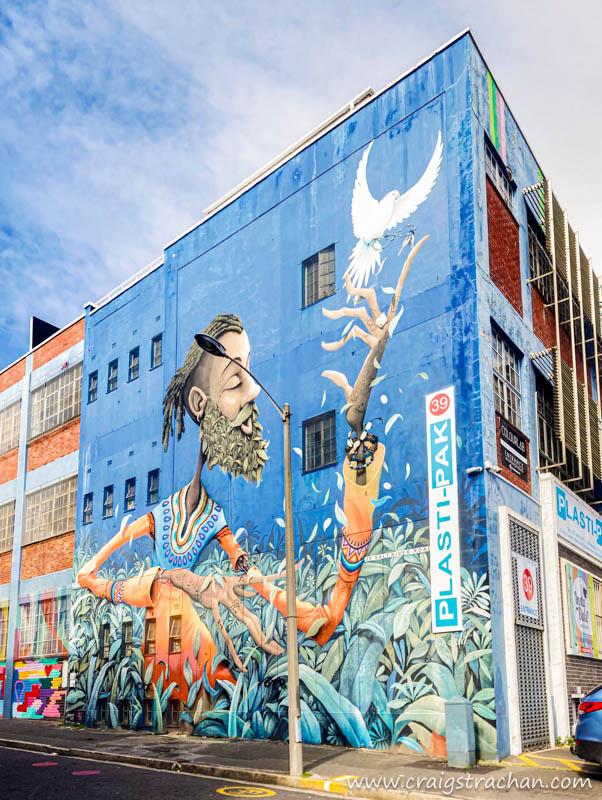 Salt River Steet-art