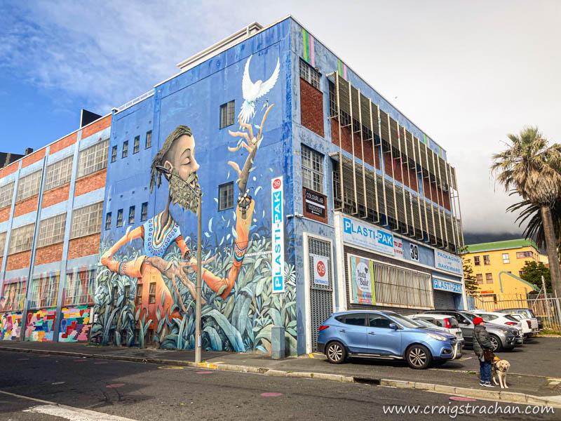 Salt River Steet-art